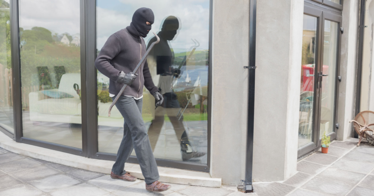 Business Security Systems Illinois