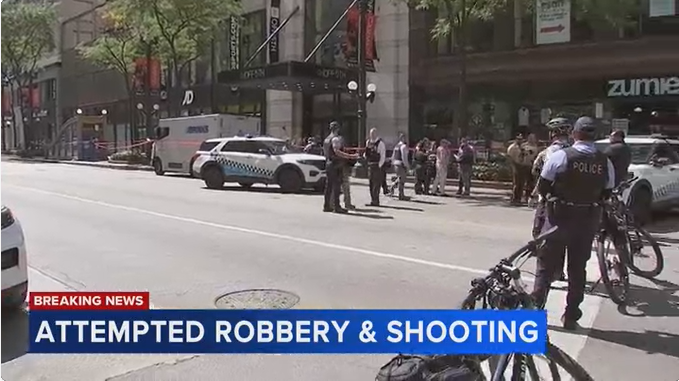 Loop Security Guard Stops Robbery